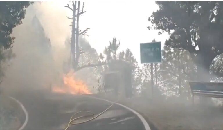 Uttarakhand Forest Fire : गंभीर हो रही जंगलों की आग…चुनाव प्रचार छोड़ देहरादून पहुंचे सीएम धामी Uttarakhand Forest Fire