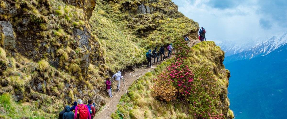 Trekking In Uttarakhand