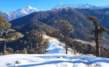 ट्रैकर्स डेस्टीनेशन : मोनाल टॉप…मोनाल का आशियाना