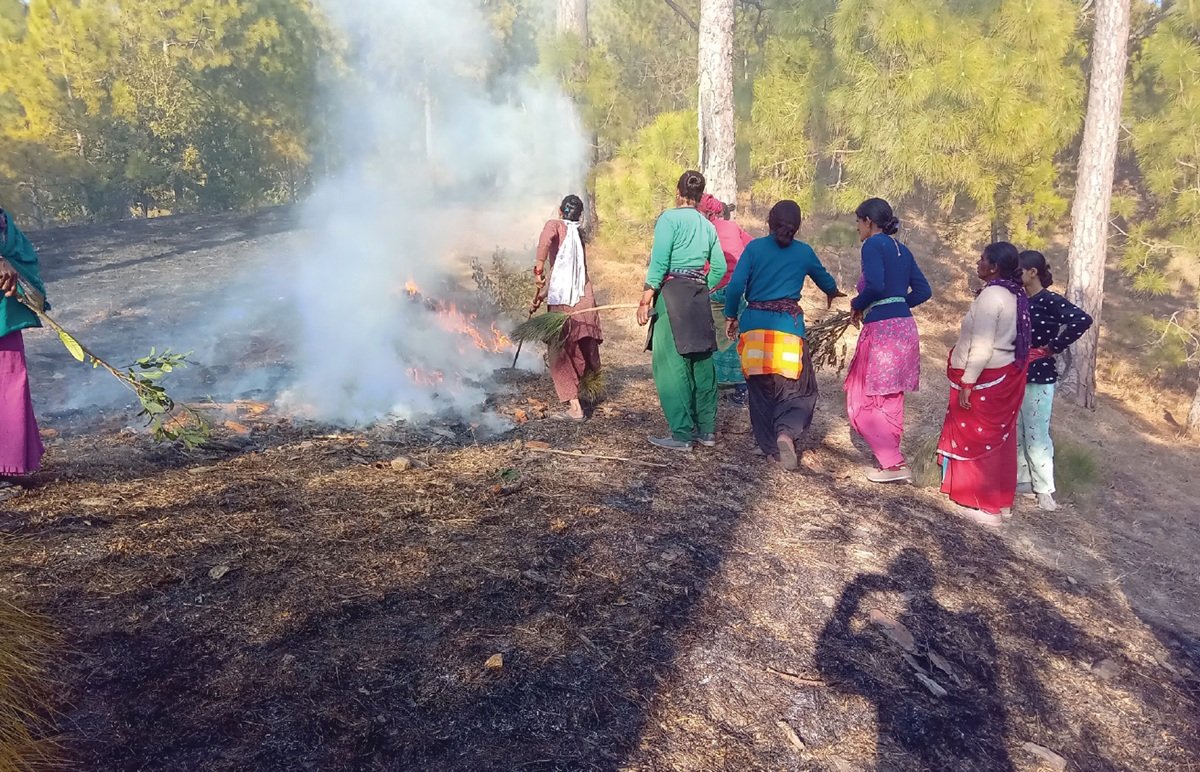 समाधान …शीतलाखेत मॉडल, आग से पहले