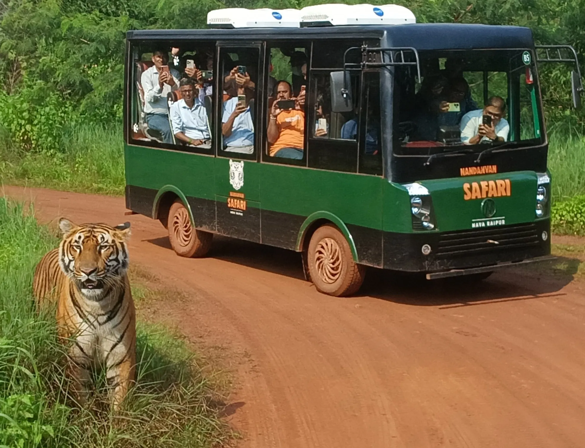 Chhattisgarh का नंदनवन ‘ZOO से सफारी तक’ का सबसे खूबसूरत अनुभव