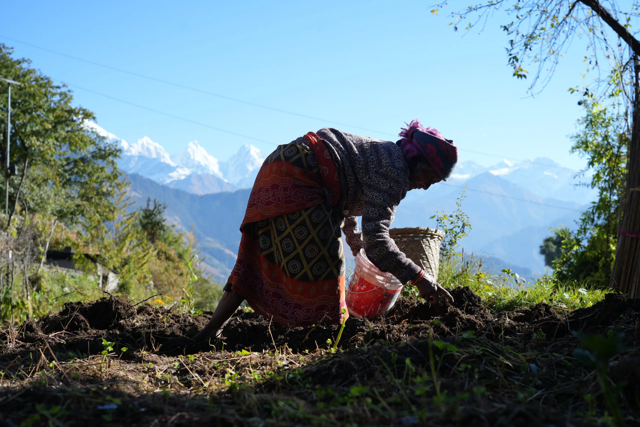Supplementary Budget: अन्नदाता को प्राथमिकता, धान-गेहूं खरीद के लिए 1,100 करोड़ रुपये का प्रावधान